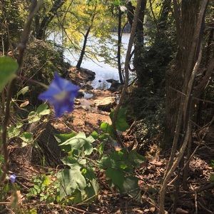 Meet your Posher, June